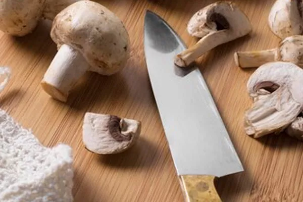 Quelle taille de couteau choisir pour aller aux champignons ?, Saint-Étienne, Boutique Guillet